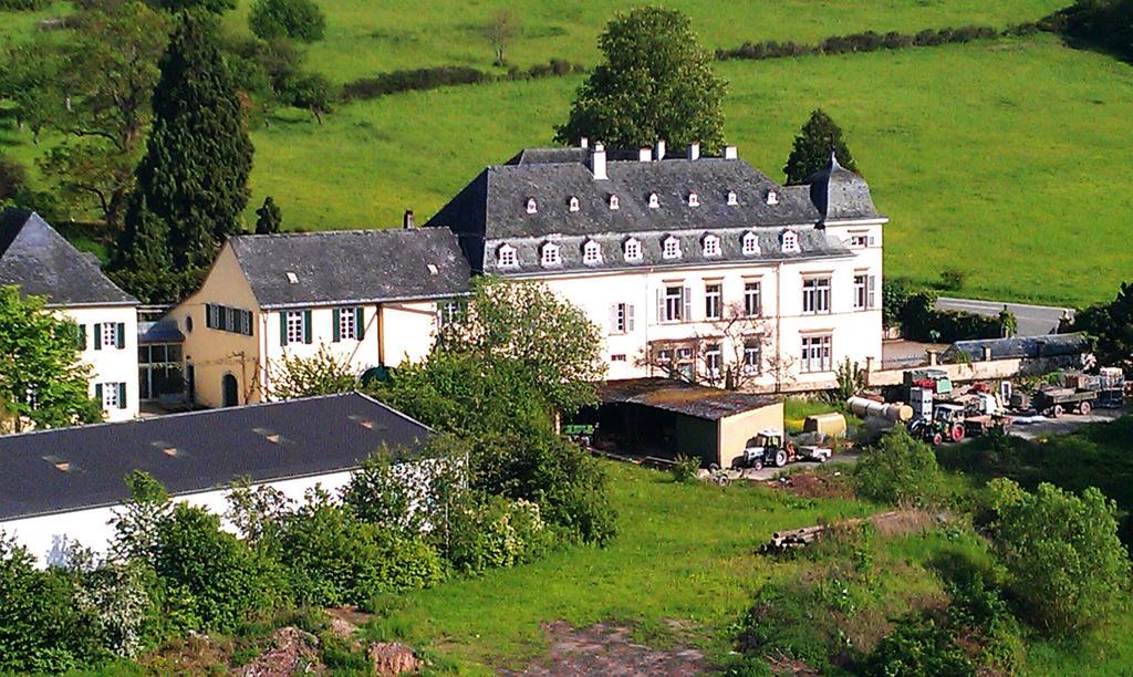 Апартаменти Haus Sonnenschein Wiltingen Екстер'єр фото