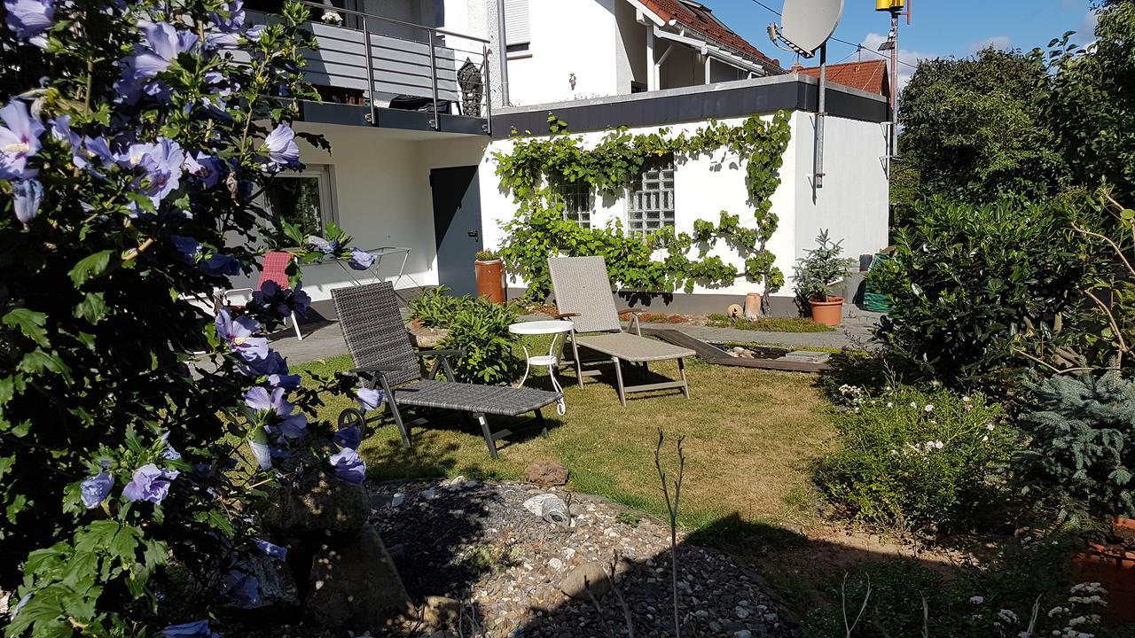Апартаменти Haus Sonnenschein Wiltingen Екстер'єр фото